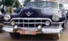 1951 Cadillac Series 62 Convertible - Photography by Mr.W.